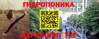 метадон Гай