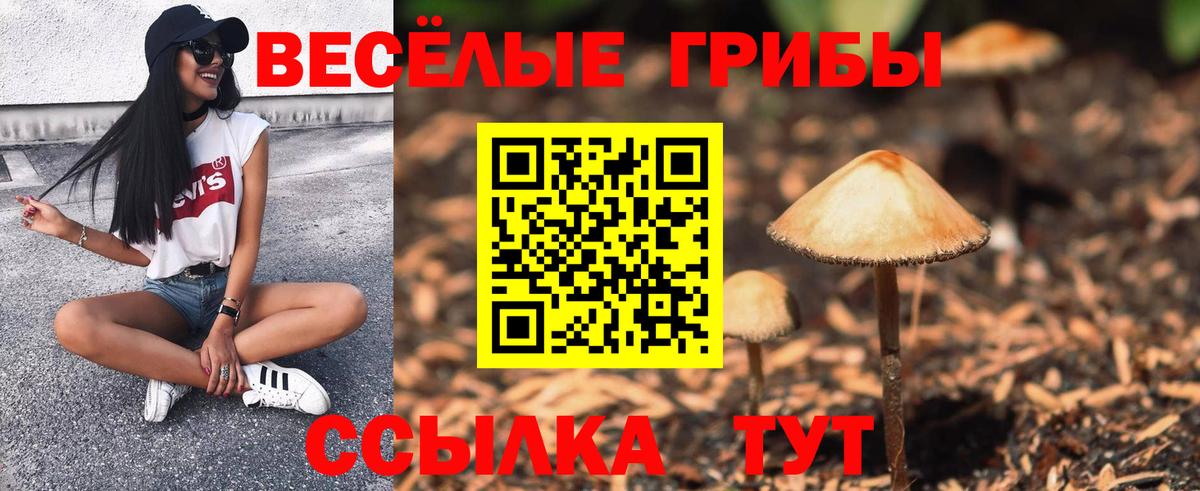 Псилоцибиновые грибы GOLDEN TEACHER  Вход с VPN  Нерюнгри 